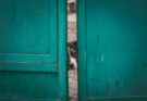 UP Home Guard PET Admit Card: Is It the Best Way to Prepare?